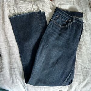 Everlane The Kick Crop Jean